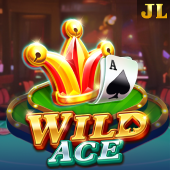 Wild Ace Skycasino Game